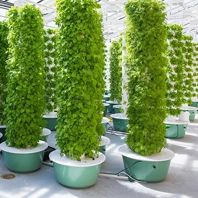 Hydroponic Tower - Systèmes de culture verticale aéroponique avec