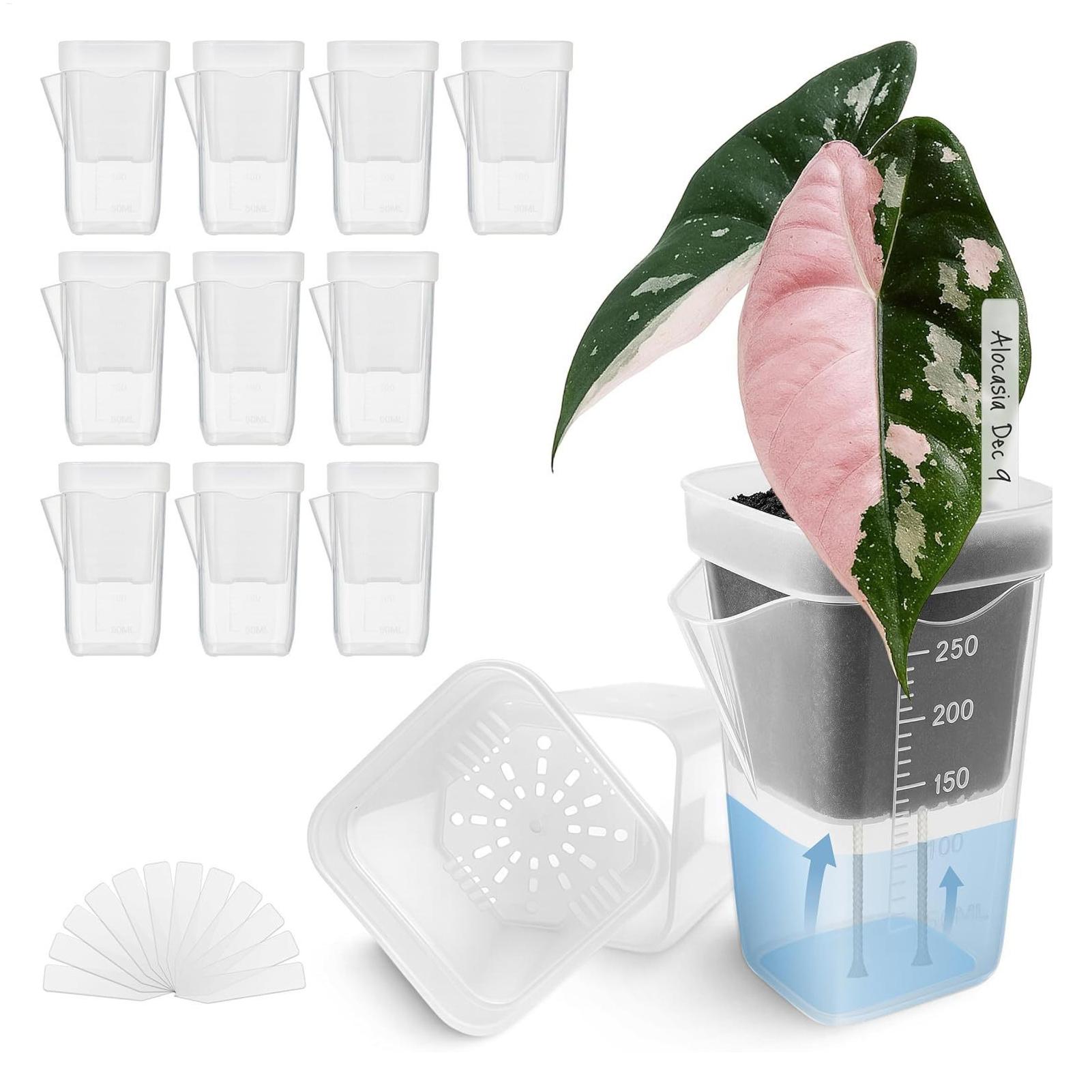 Hydroponic Grow Pod - 10 pots de plantes d'intérieur transparents