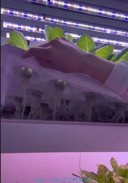 Hydroponic Tower - F serre équipement agricole grandir champignons
