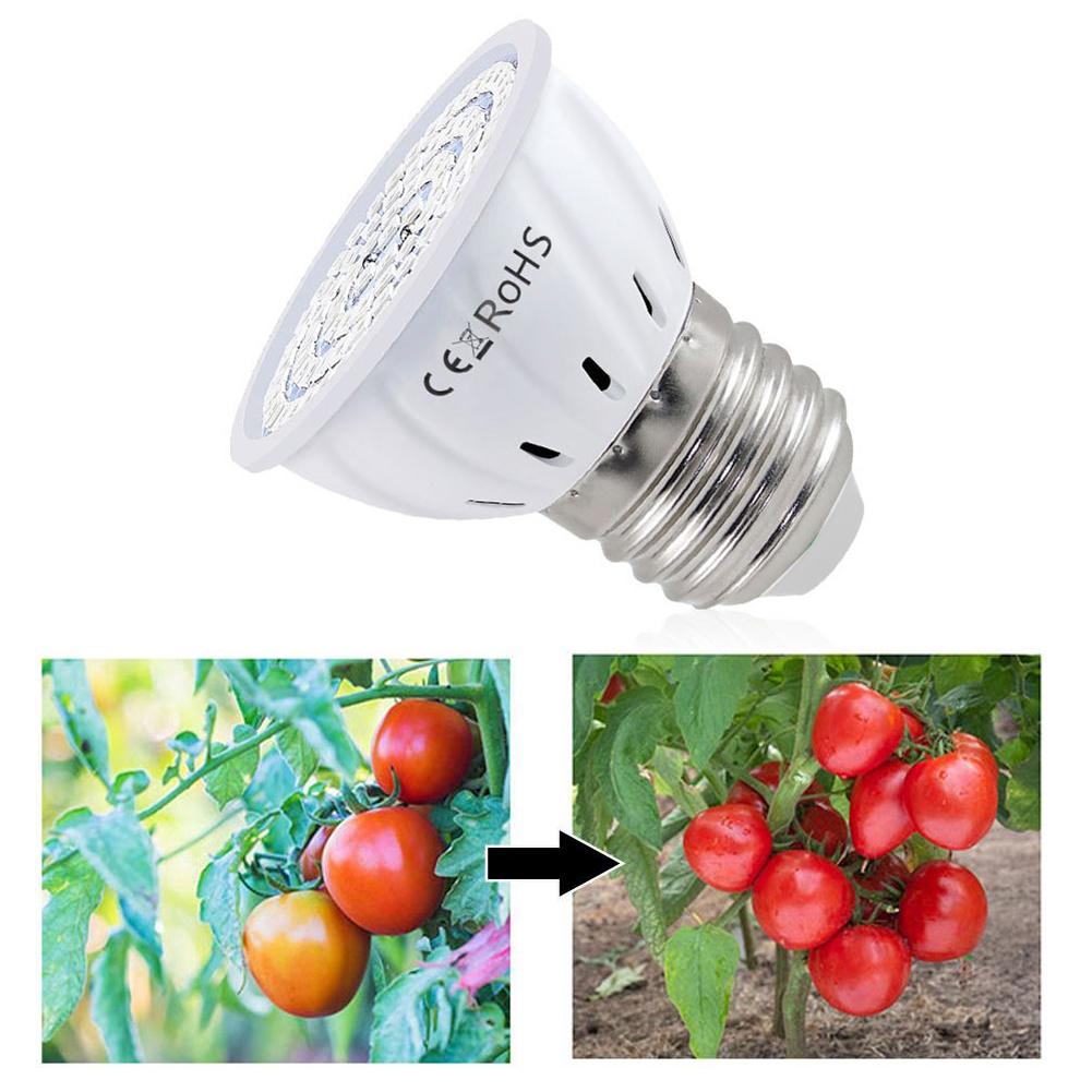 Plant Grow Light Full Spectrum - Ampoule LED de culture E27 60