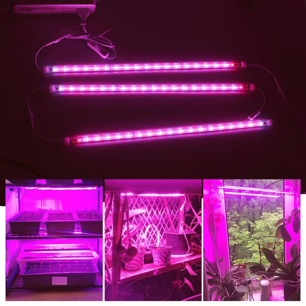 Plant Grow Light Full Spectrum - Bandes lumineuses LED pour plantes de