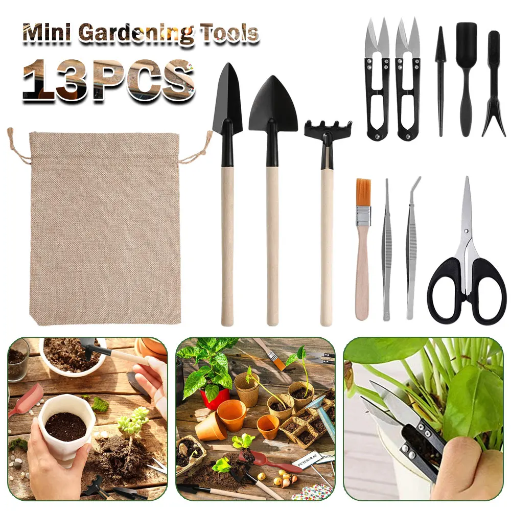 Indoor Garden Kit - Ensemble d'outils pour plantes succulentes, kit