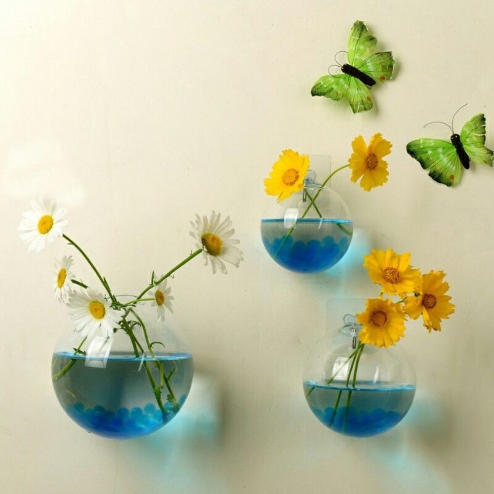 Hydroponic Grow Pod - Vase mural en verre transparent pour
