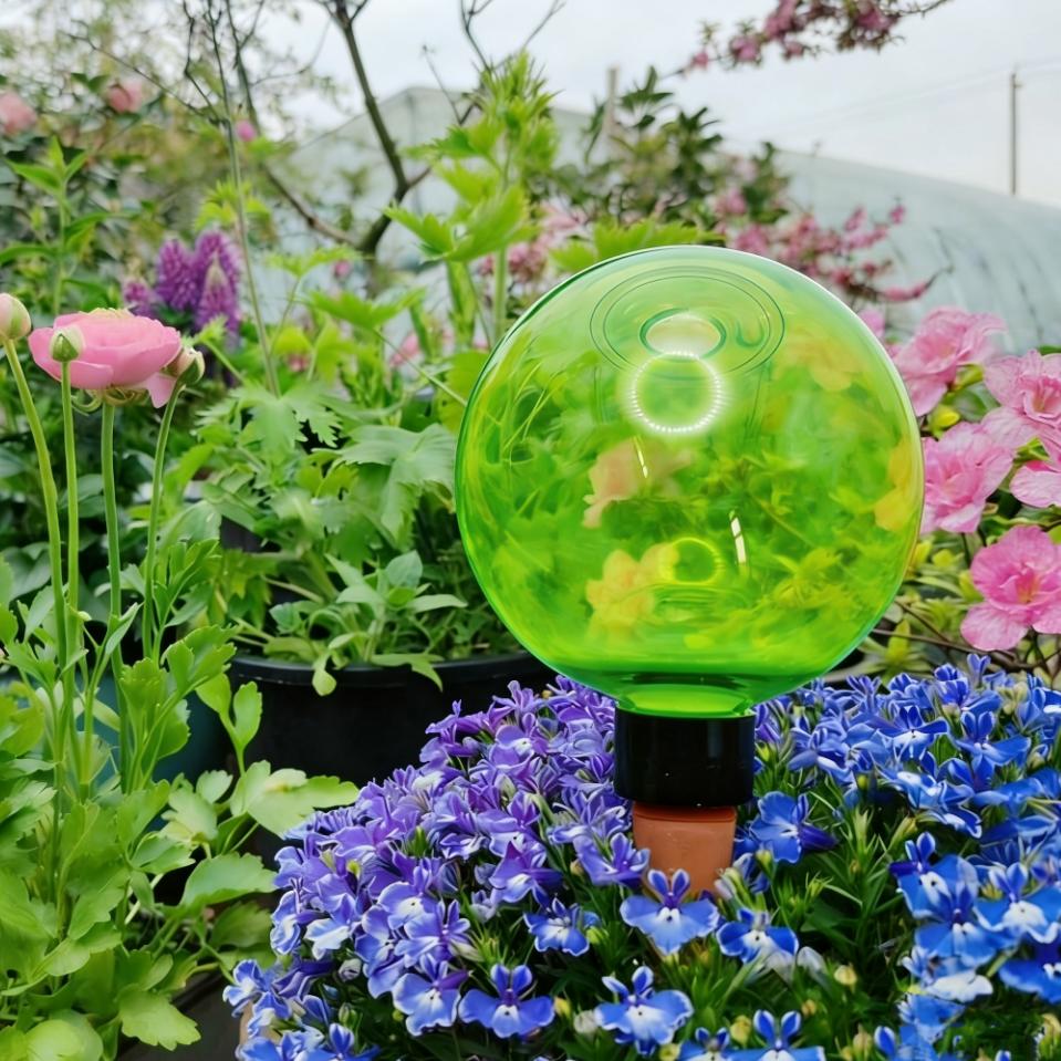 Self Watering Planter - 3 globes d'arrosage automatique pour grandes