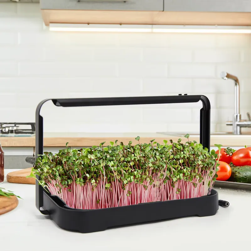 Smart Garden System - Bac hydroponique pour micro-légumes d'intérieur, système
