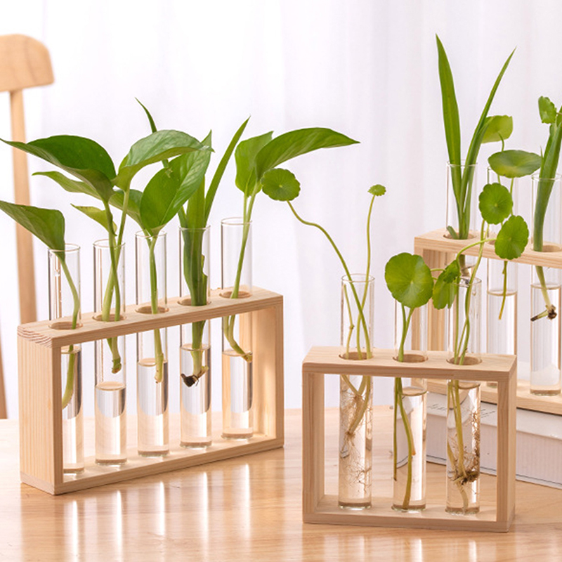 Hydroponic Grow Pod - Conteneur de plantes hydroponiques avec cadre