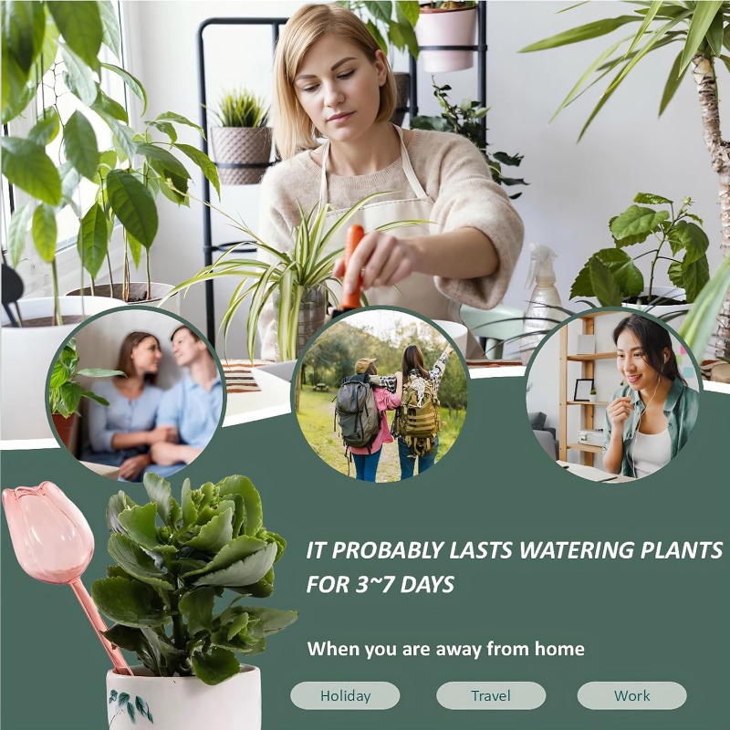 Boules d'arrosage pour plantes - Plant Sensor avis et prix