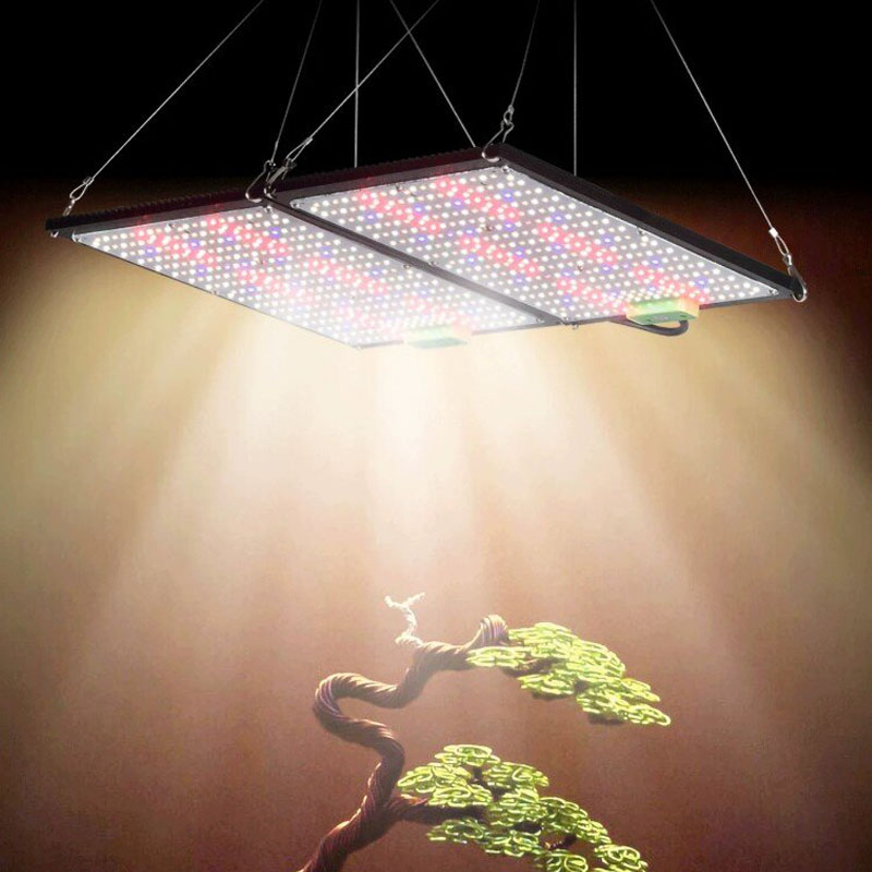 Lampe de culture LED Quantum-B - Grow Light Led avis et prix