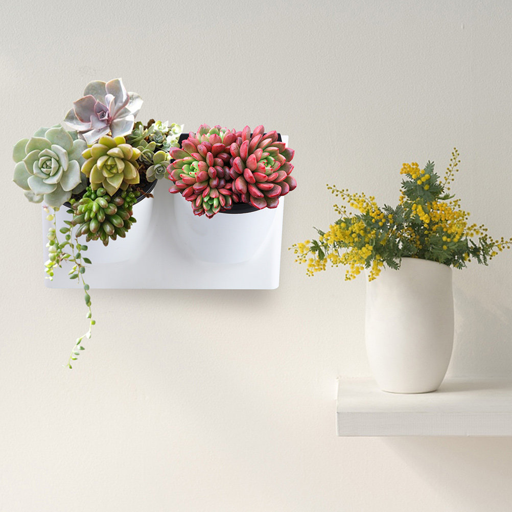 Pot de fleurs auto-arrosant en - Self Watering Planter avis et prix