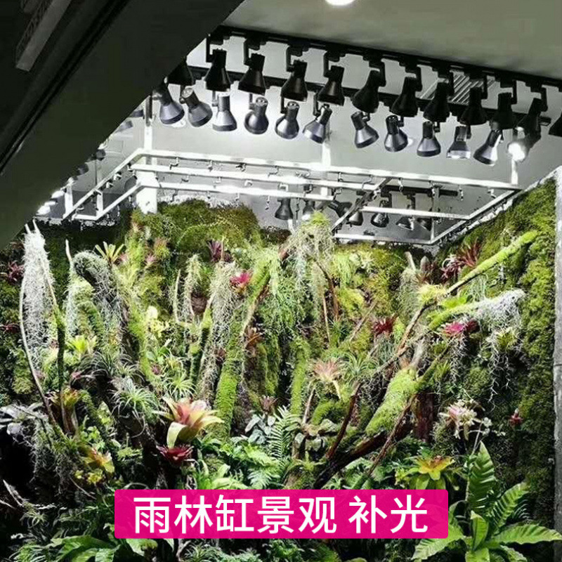 Lampe de culture LED à spectre - Plant Grow Light Full Spectrum avis et prix