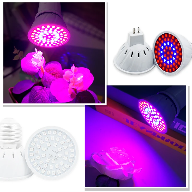 Phyto lampe LED à spectre comp - Plant Grow Light Full Spectrum avis et prix