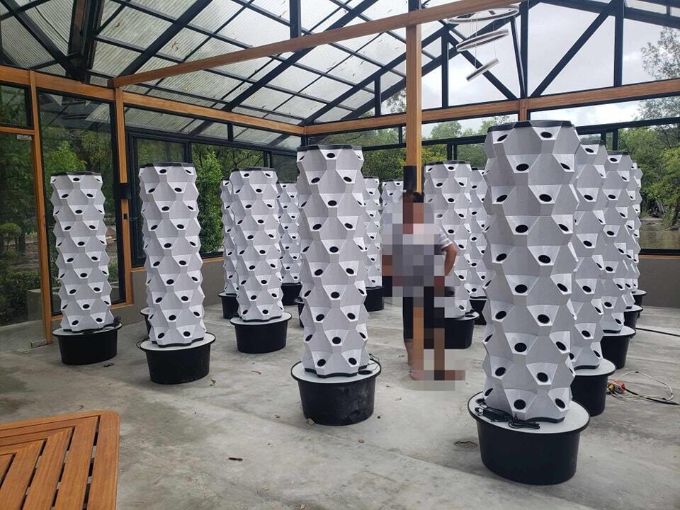 Système hydroponique vertical  - Hydroponic Tower avis et prix