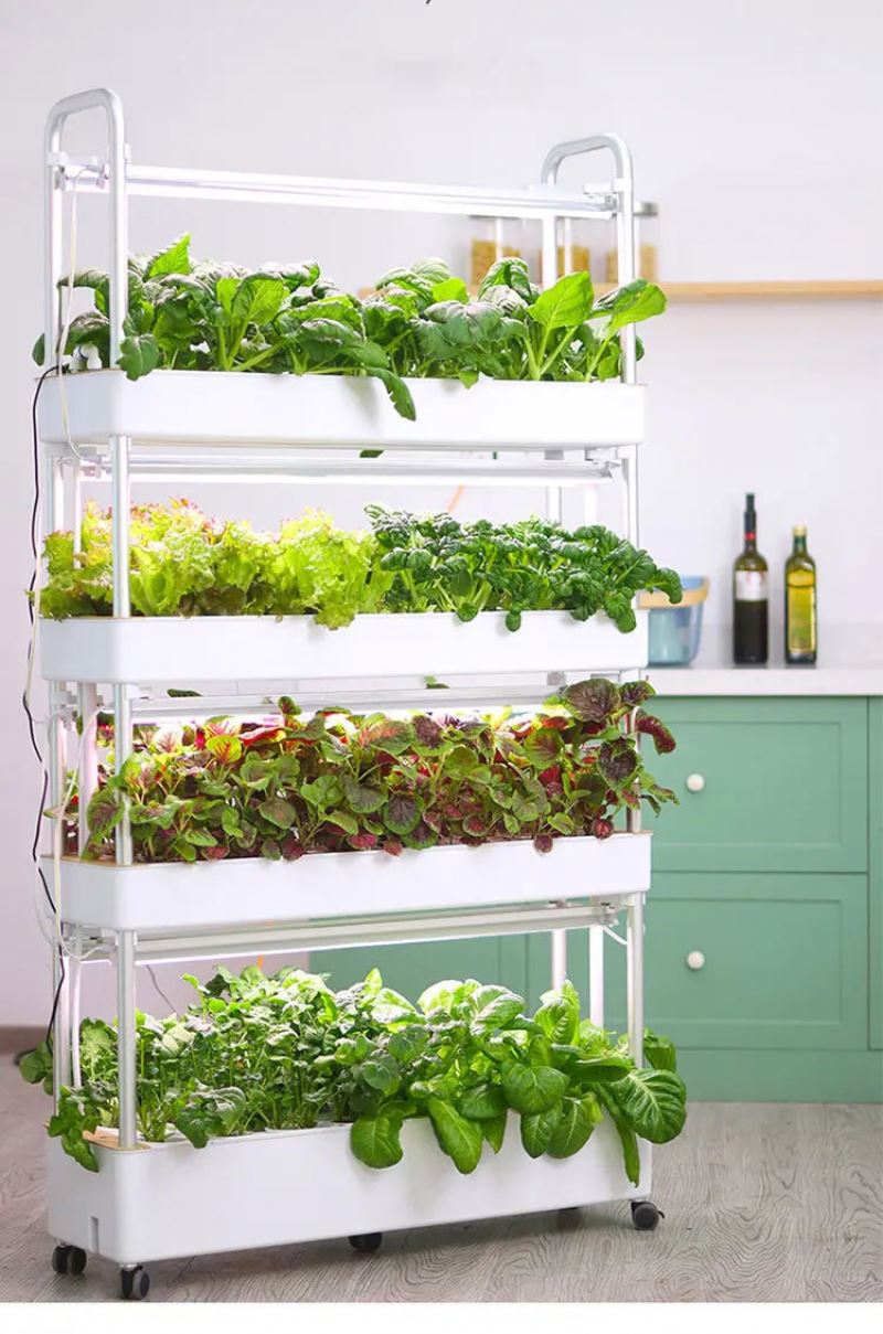Système de culture hydroponiqu - Hydroponic Tower avis et prix