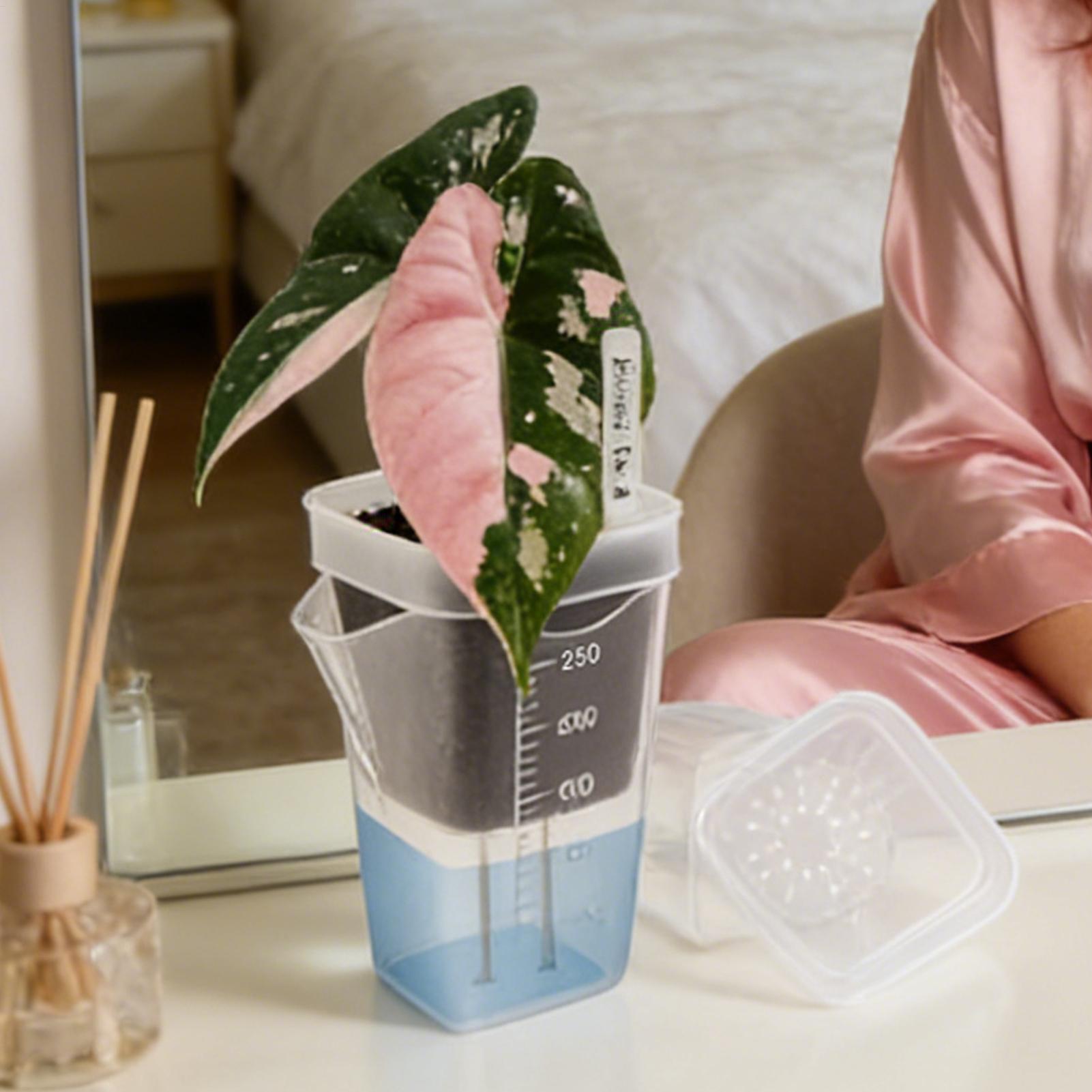 10 pots de plantes d'intérieur - Hydroponic Grow Pod avis et prix