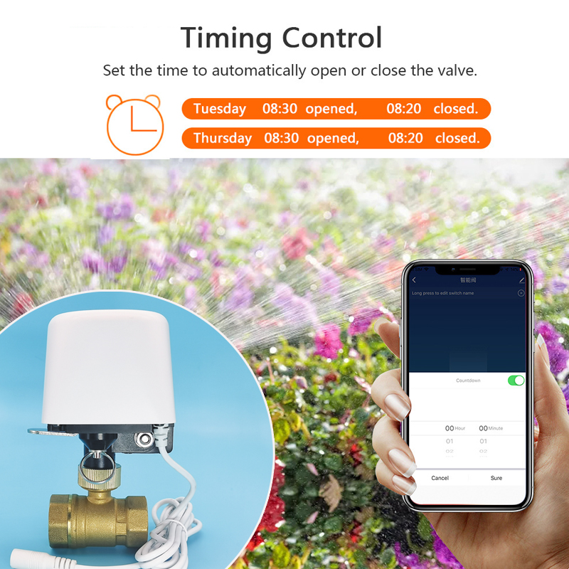 Vanne d'eau intelligente Tuya  - Smart Garden System avis et prix