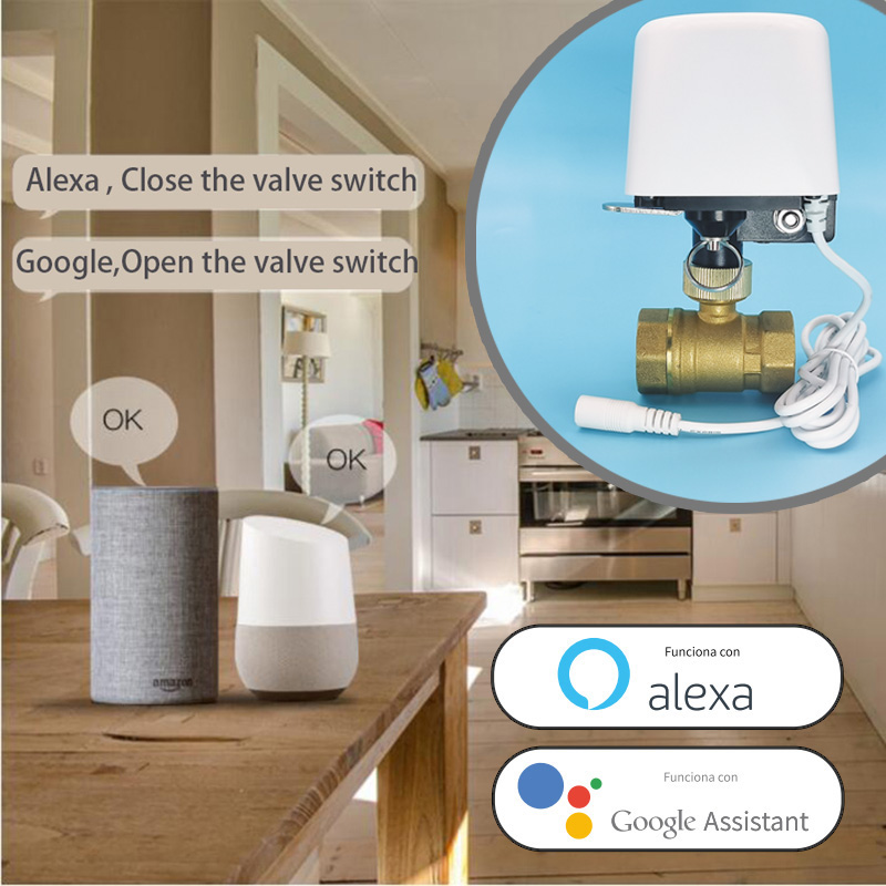 Vanne d'eau intelligente Tuya  - Smart Garden System avis et prix