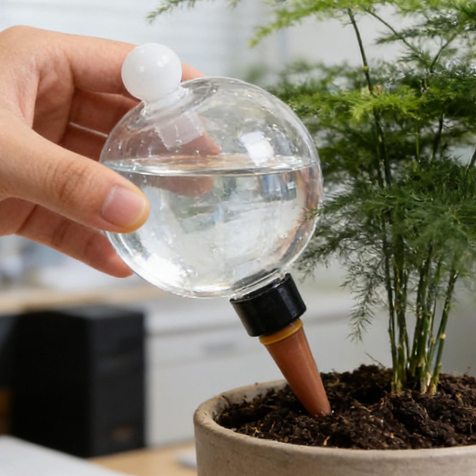 Bulbes d'arrosage automatiques - Plant Sensor avis et prix