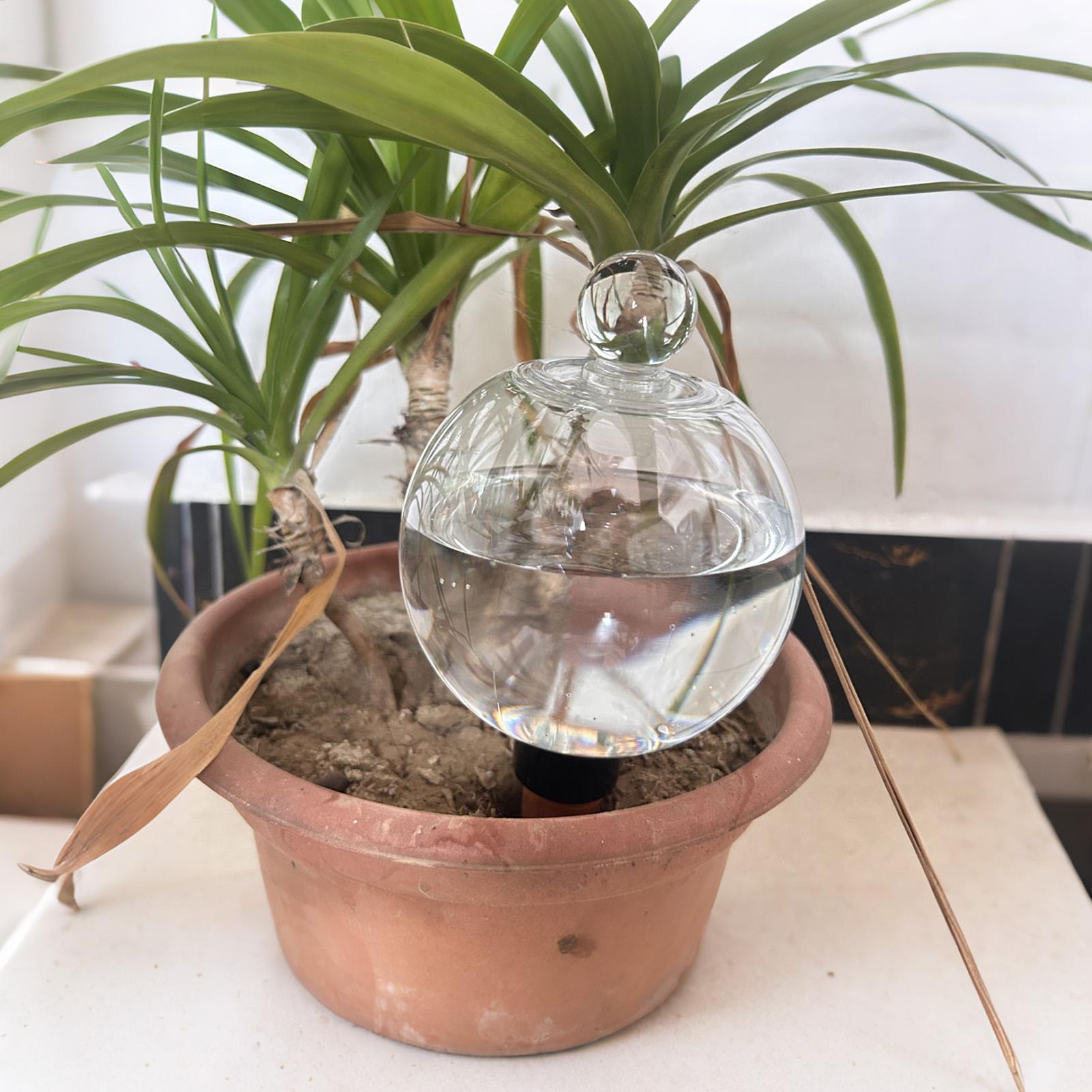 Bulbes d'arrosage automatiques - Plant Sensor avis et prix
