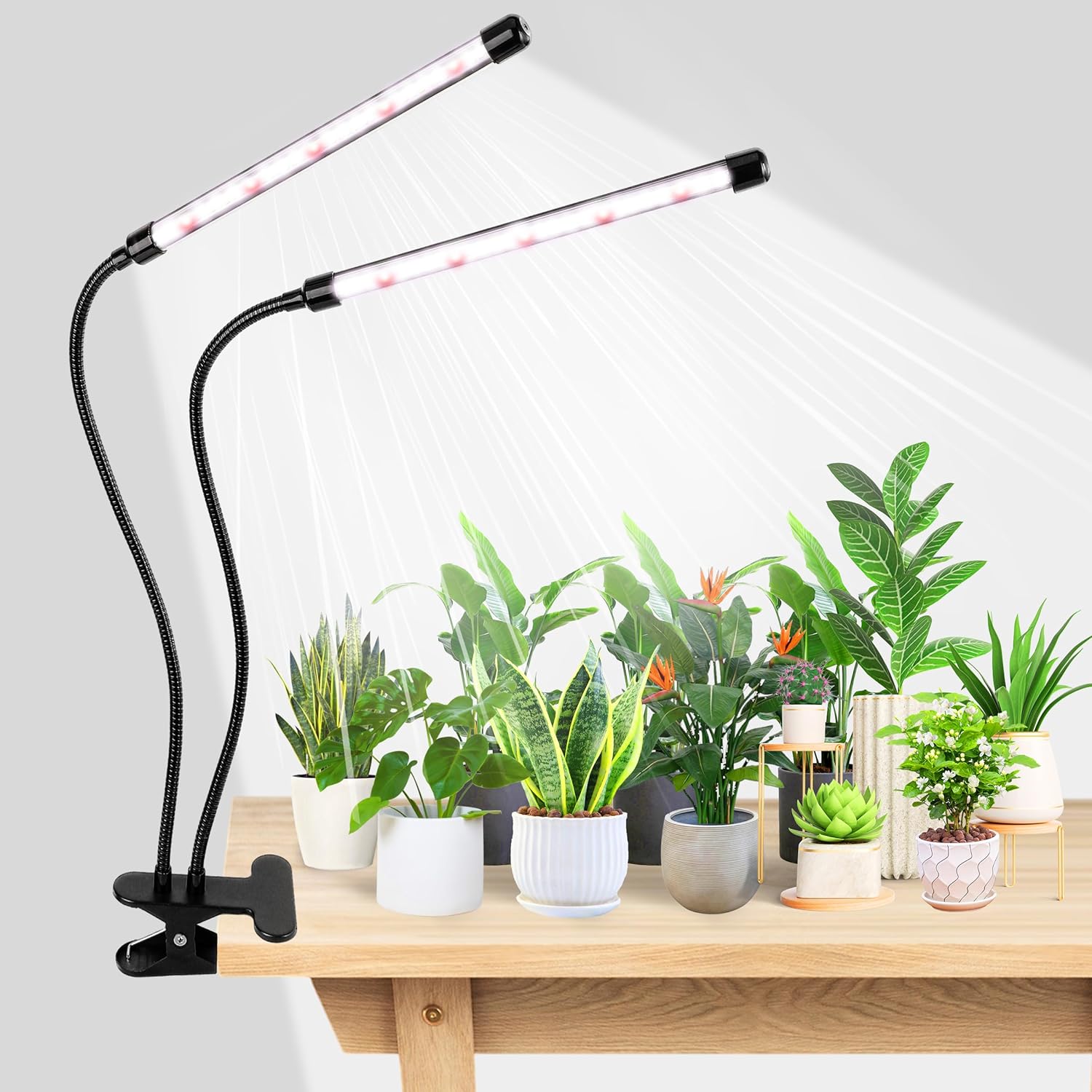 KEBINCPLED Lampe de culture LE - Hydroponic Grow Pod avis et prix