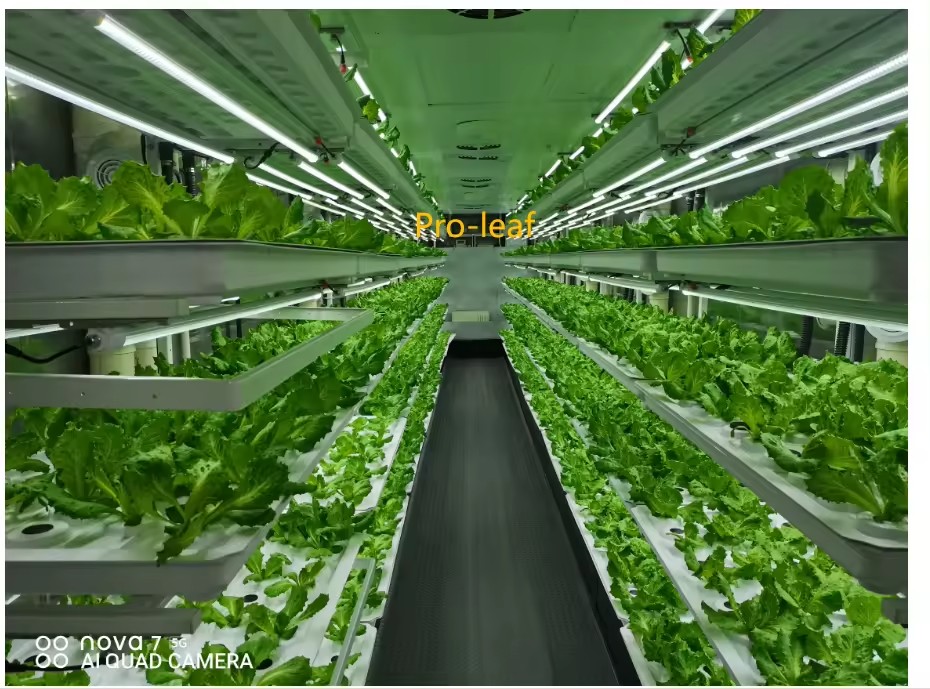 F serre équipement agricole gr - Hydroponic Tower avis et prix