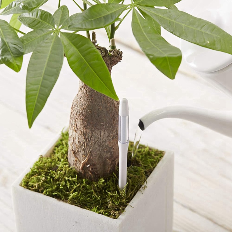 Aquameter, 5 pièces, capteur d - Plant Sensor avis et prix