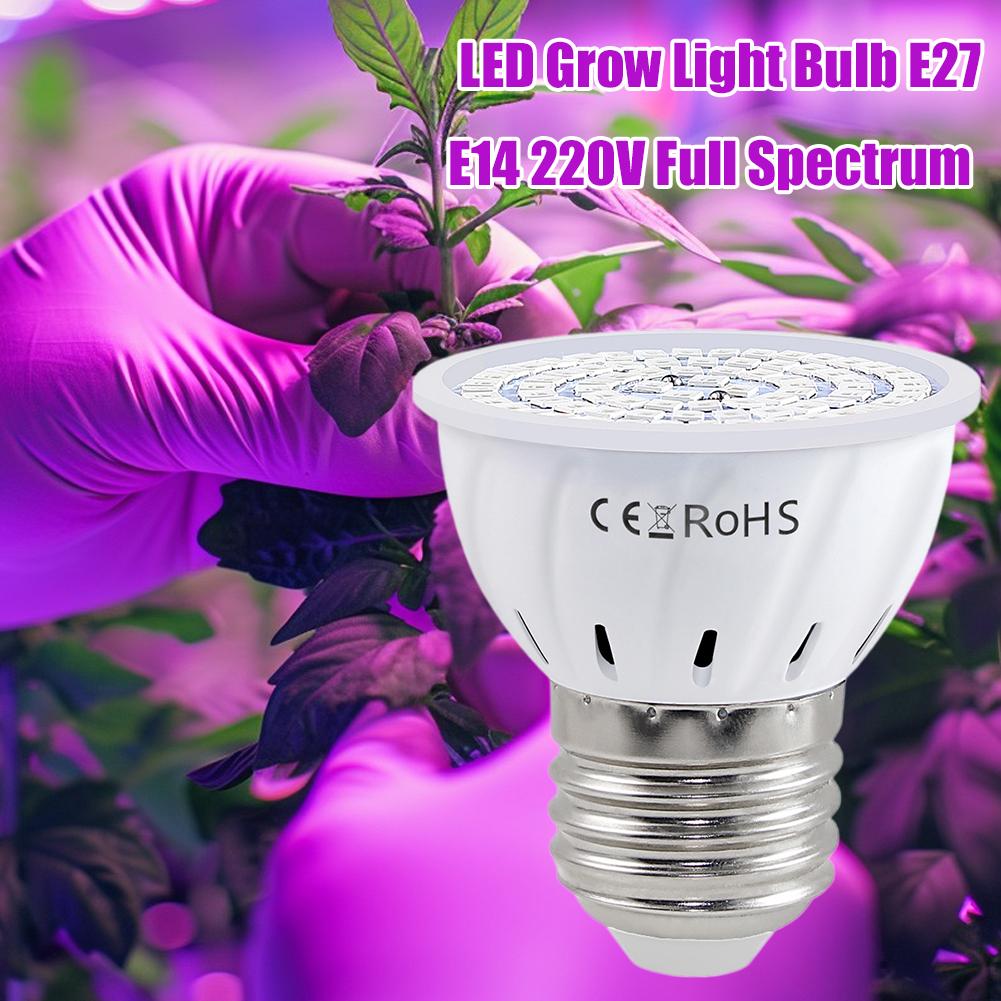 Ampoule LED de culture E27 60  - Plant Grow Light Full Spectrum avis et prix