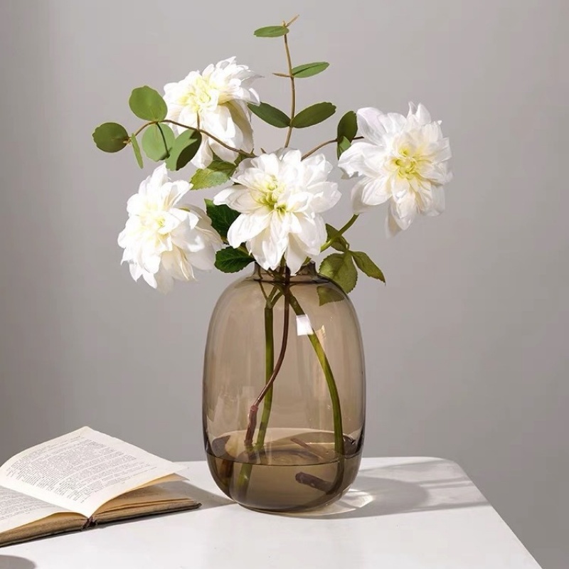 Vase en verre Transparent, déc - Hydroponic Grow Pod avis et prix