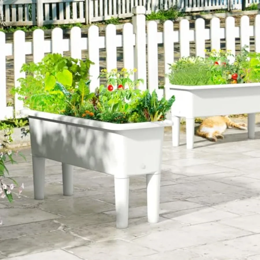 Ensemble de 2 jardinières suré - Self Watering Planter avis et prix