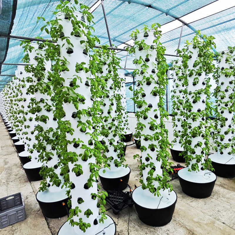 Système de culture hydroponiqu - Hydroponic Tower avis et prix