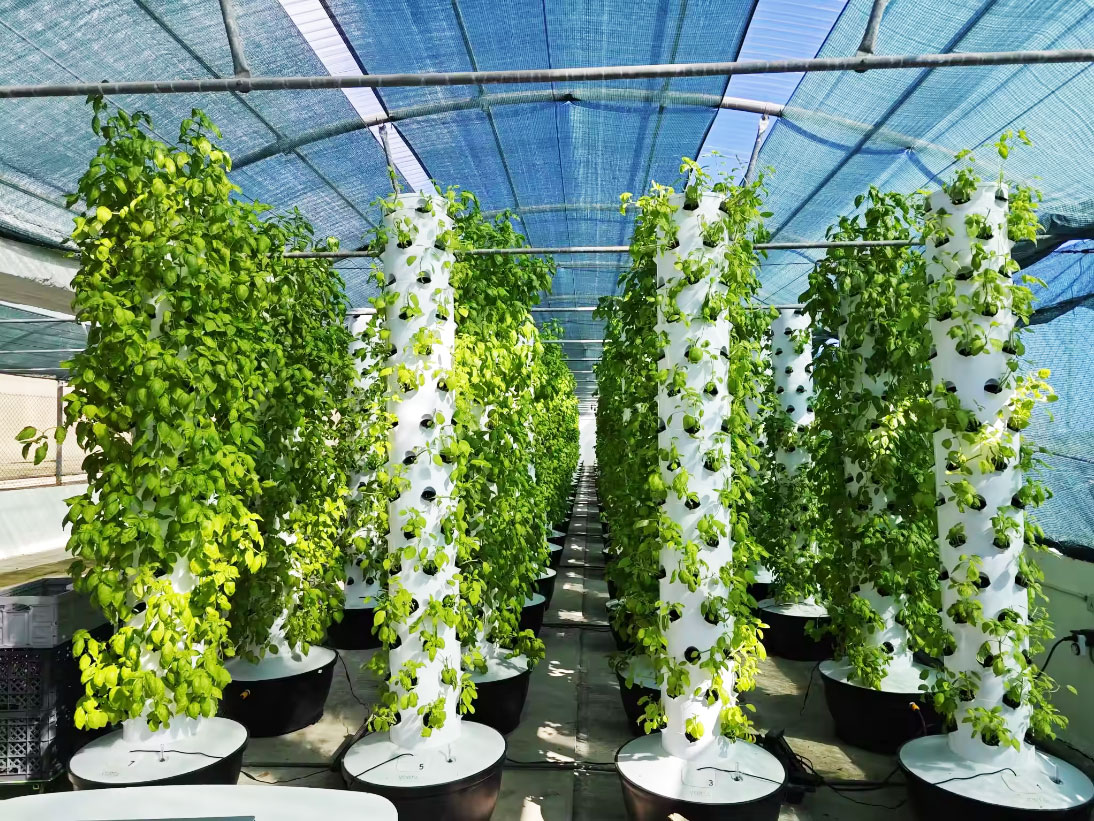 Système de culture hydroponiqu - Hydroponic Tower avis et prix