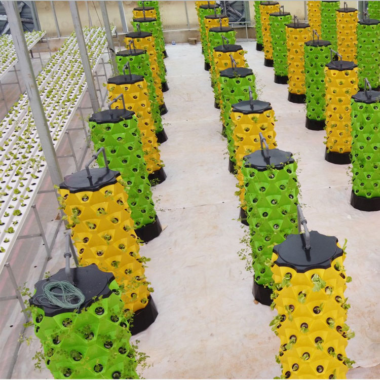 Système de culture hydroponiqu - Hydroponic Tower avis et prix
