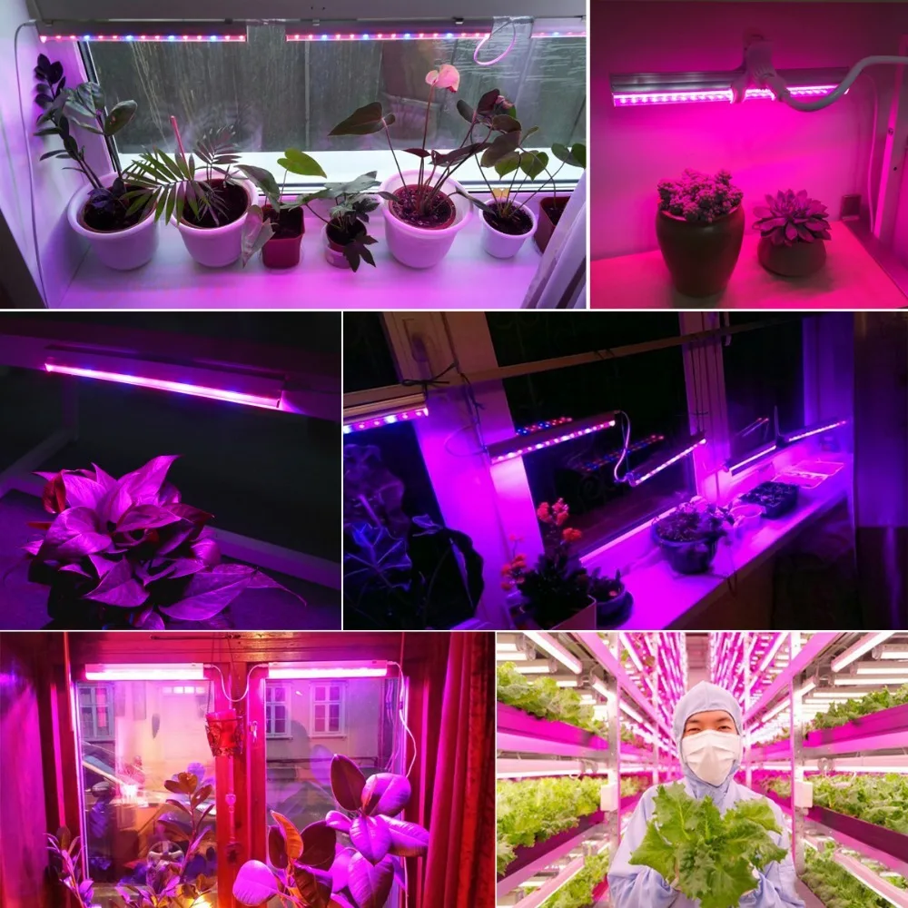 Bandes lumineuses LED pour pla - Plant Grow Light Full Spectrum avis et prix