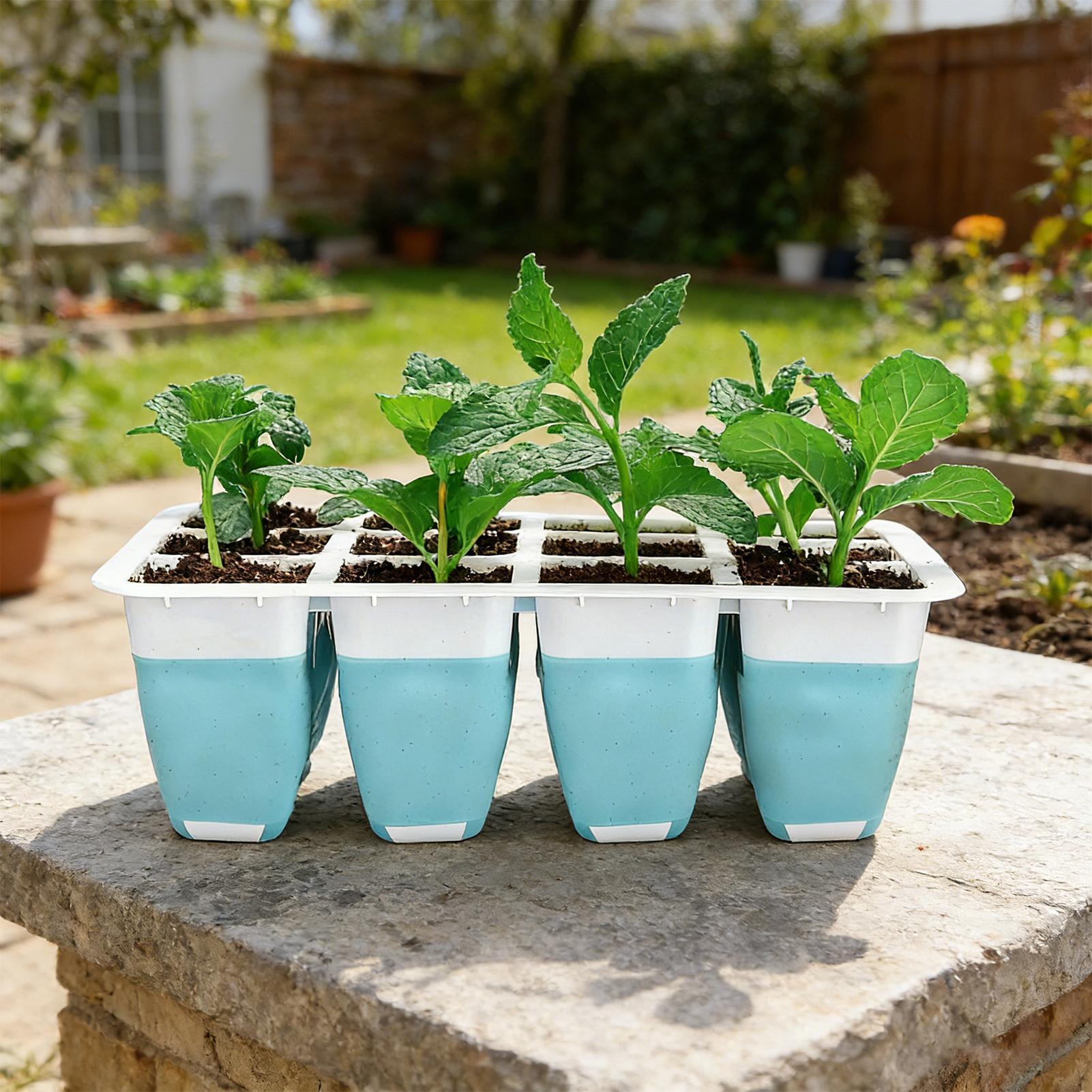 Lot de 5 plateaux de semis en  - Indoor Garden Kit avis et prix