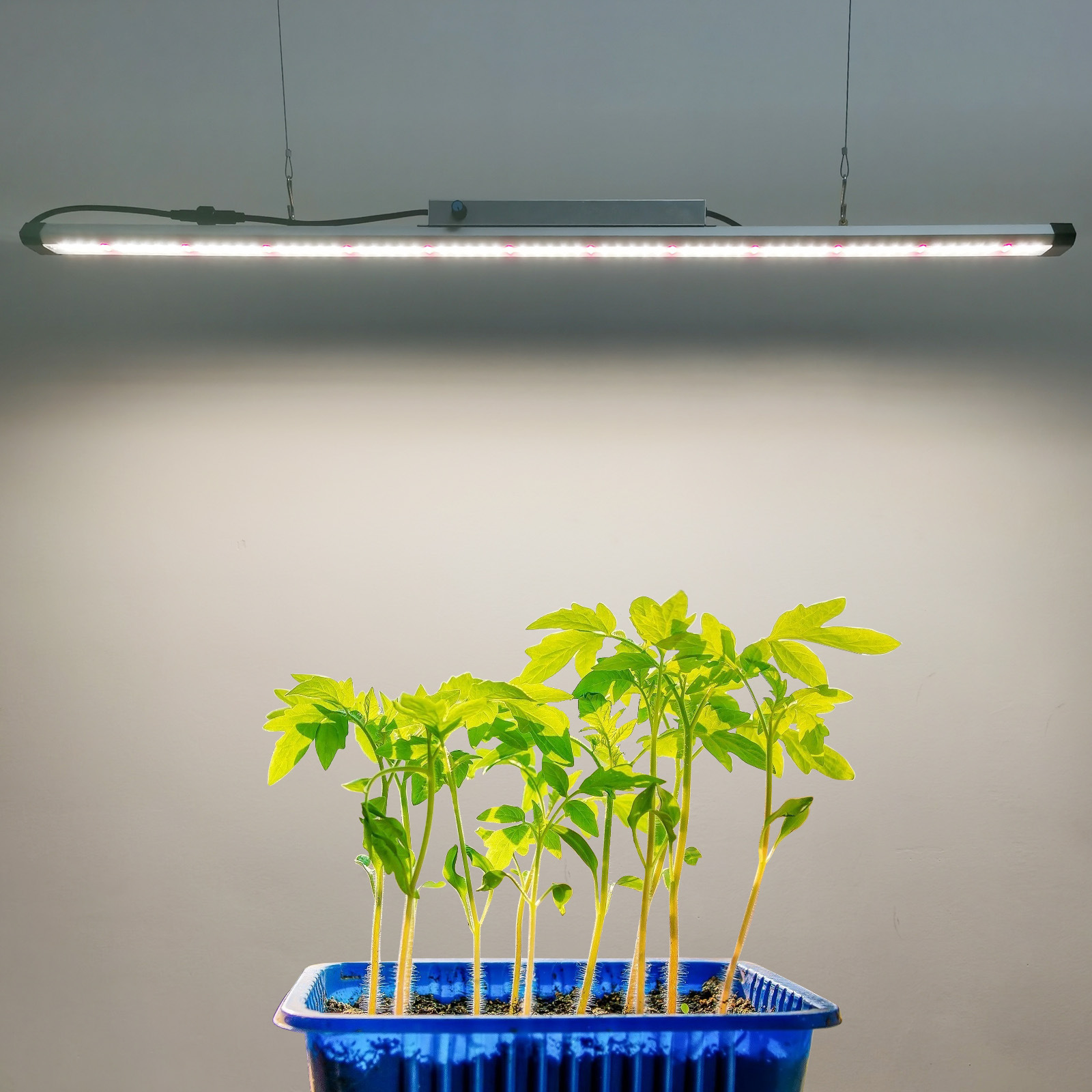 Barre lumineuse LED à spectre  - Plant Grow Light Full Spectrum avis et prix