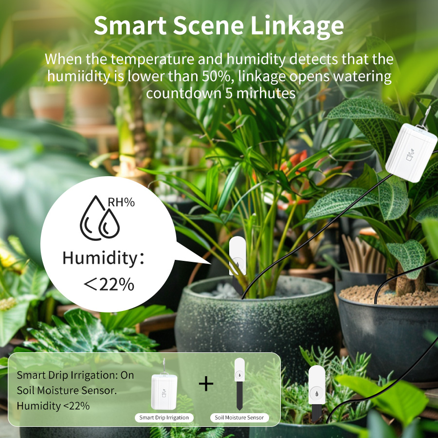 Testeur de sol intelligent Zig - Plant Monitor avis et prix