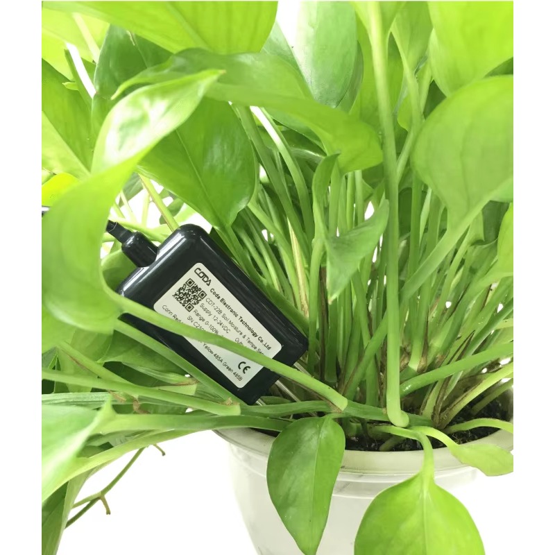 CDT-30B Rs485 0-2v sortie plan - Plant Sensor avis et prix