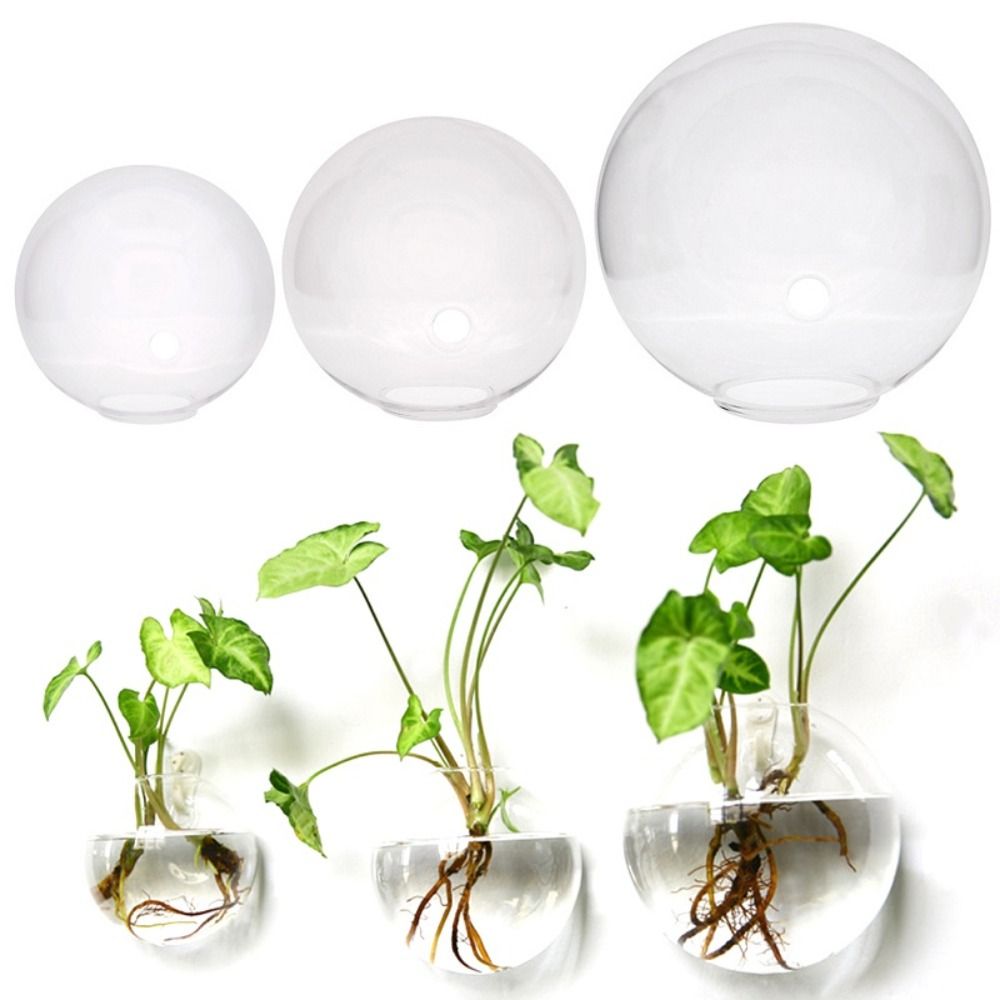 Vase mural en verre transparen - Hydroponic Grow Pod avis et prix