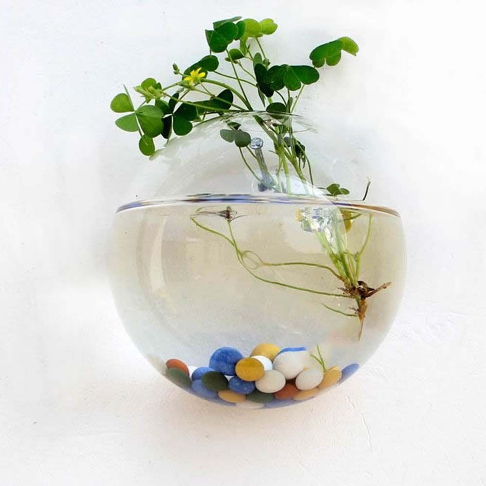 Vase mural en verre transparen - Hydroponic Grow Pod avis et prix