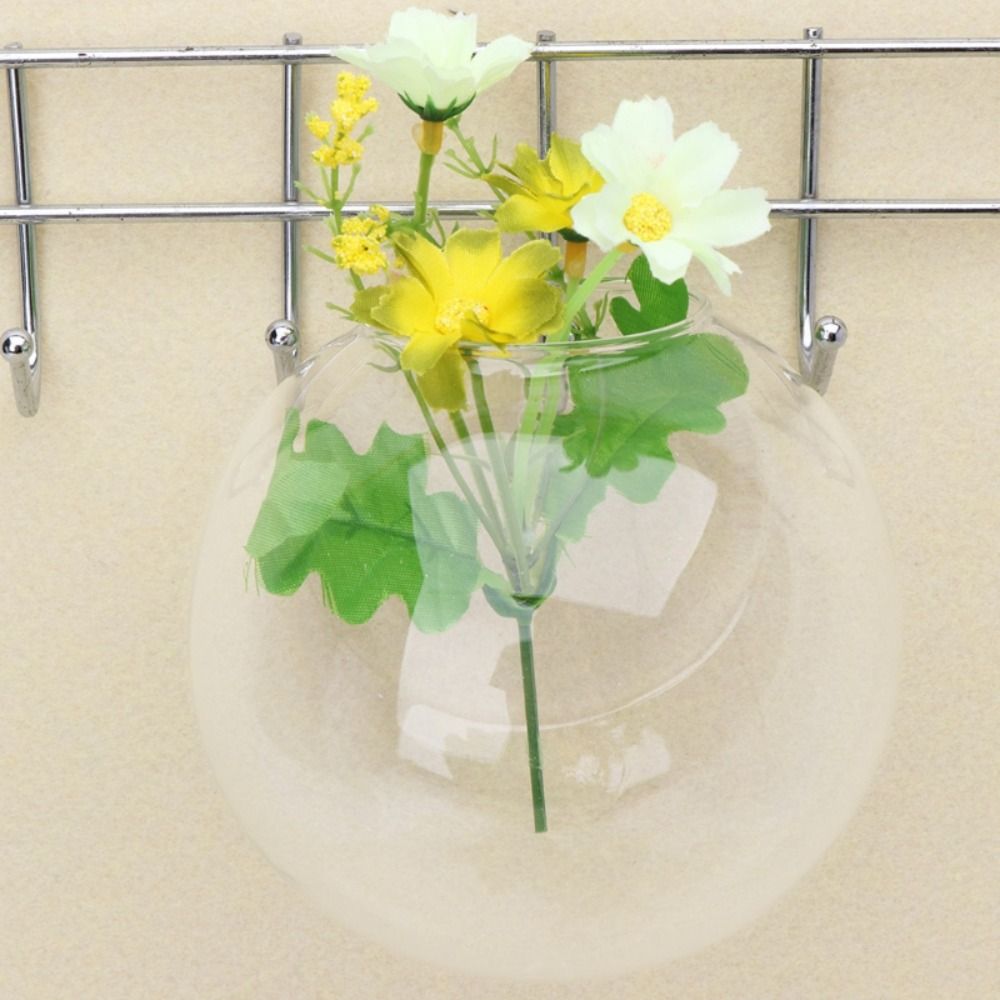 Vase mural en verre transparen - Hydroponic Grow Pod avis et prix