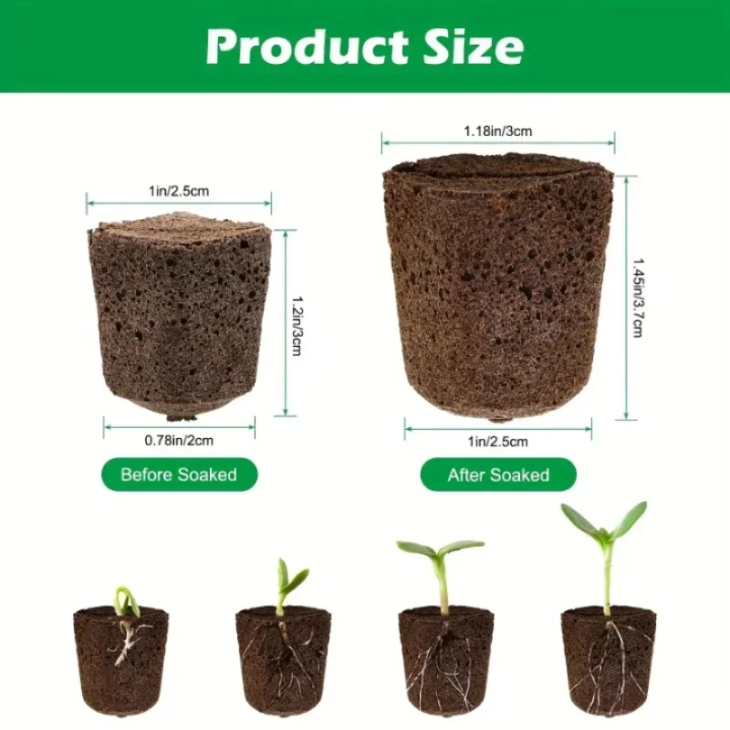 Kit de démarrage de semis en é - Indoor Garden Kit avis et prix