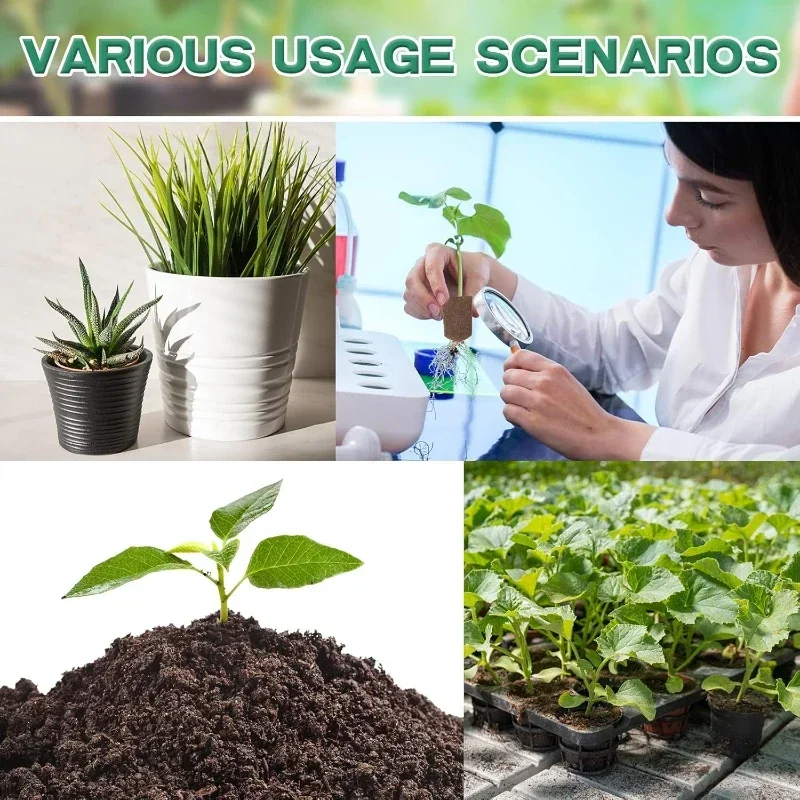 Kit de démarrage de semis en é - Indoor Garden Kit avis et prix