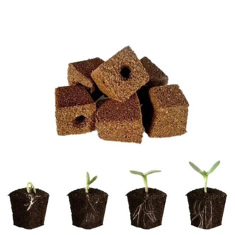 Kit de démarrage de semis en é - Indoor Garden Kit avis et prix