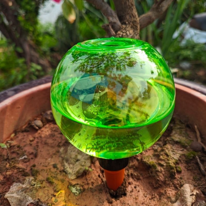 3 globes d'arrosage automatiqu - Self Watering Planter avis et prix