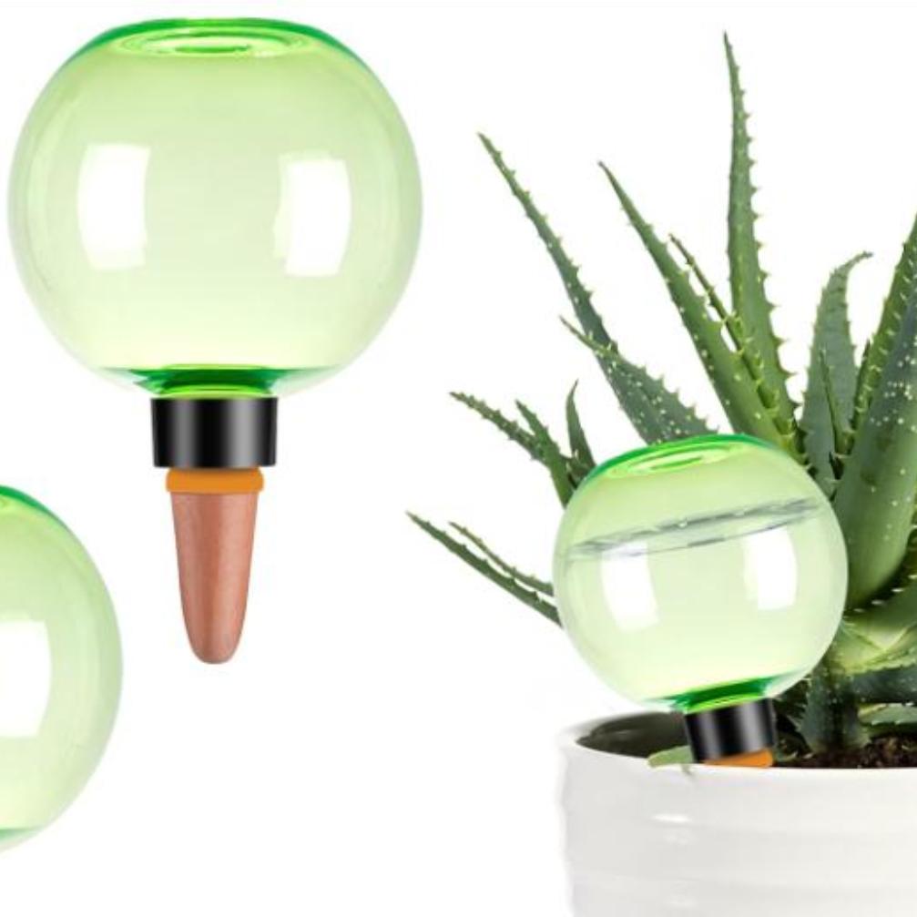 3 globes d'arrosage automatiqu - Self Watering Planter avis et prix