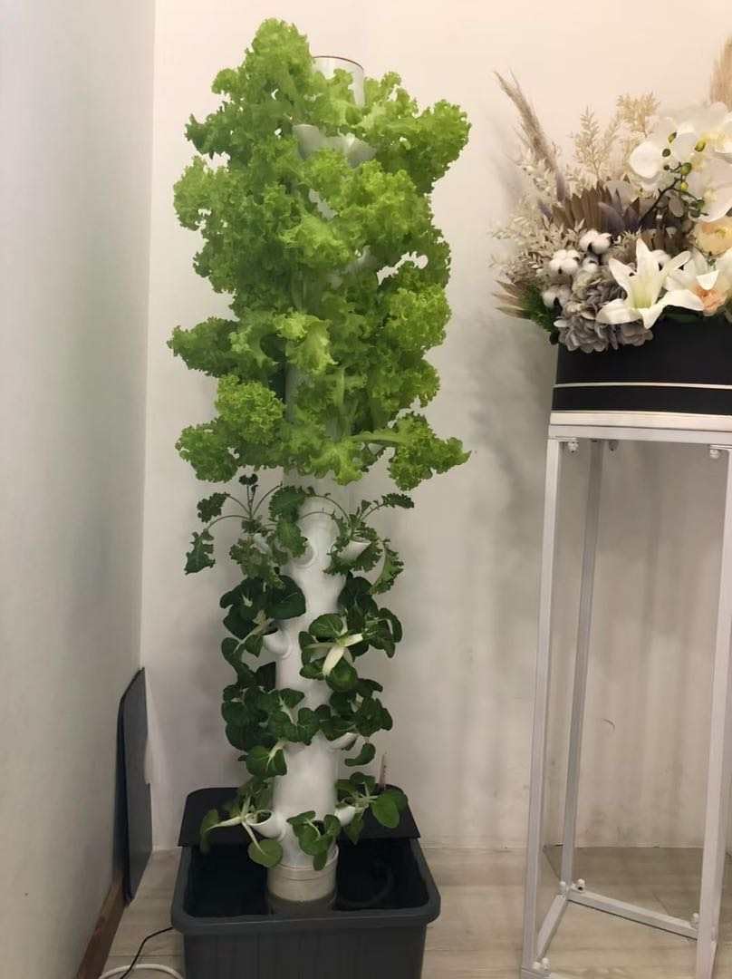 Tour de culture hydroponique v - Hydroponic Tower avis et prix