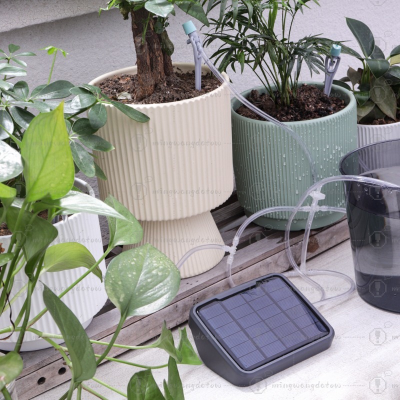 Dispositif d'arrosage automati - Automatic Watering avis et prix