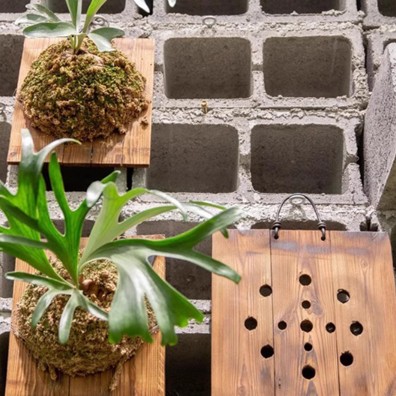 Kit de jardinière murale en bo - Indoor Garden Kit avis et prix