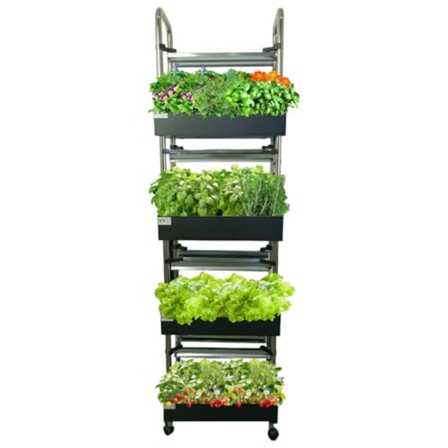 Système de culture hydroponiqu - Smart Garden System avis et prix