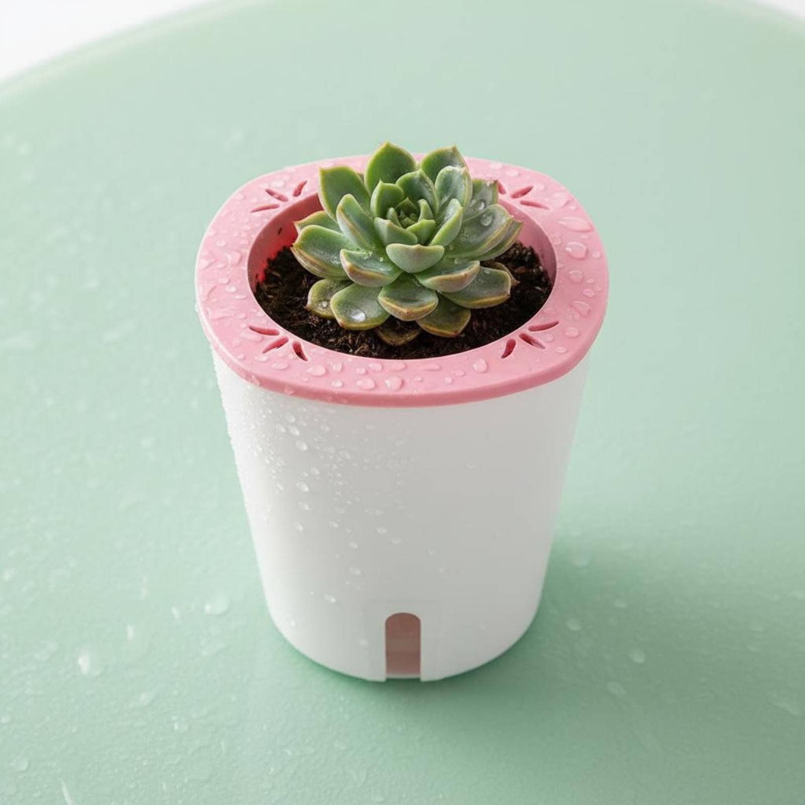 Jardinière auto-arrosante de g - Self Watering Planter avis et prix