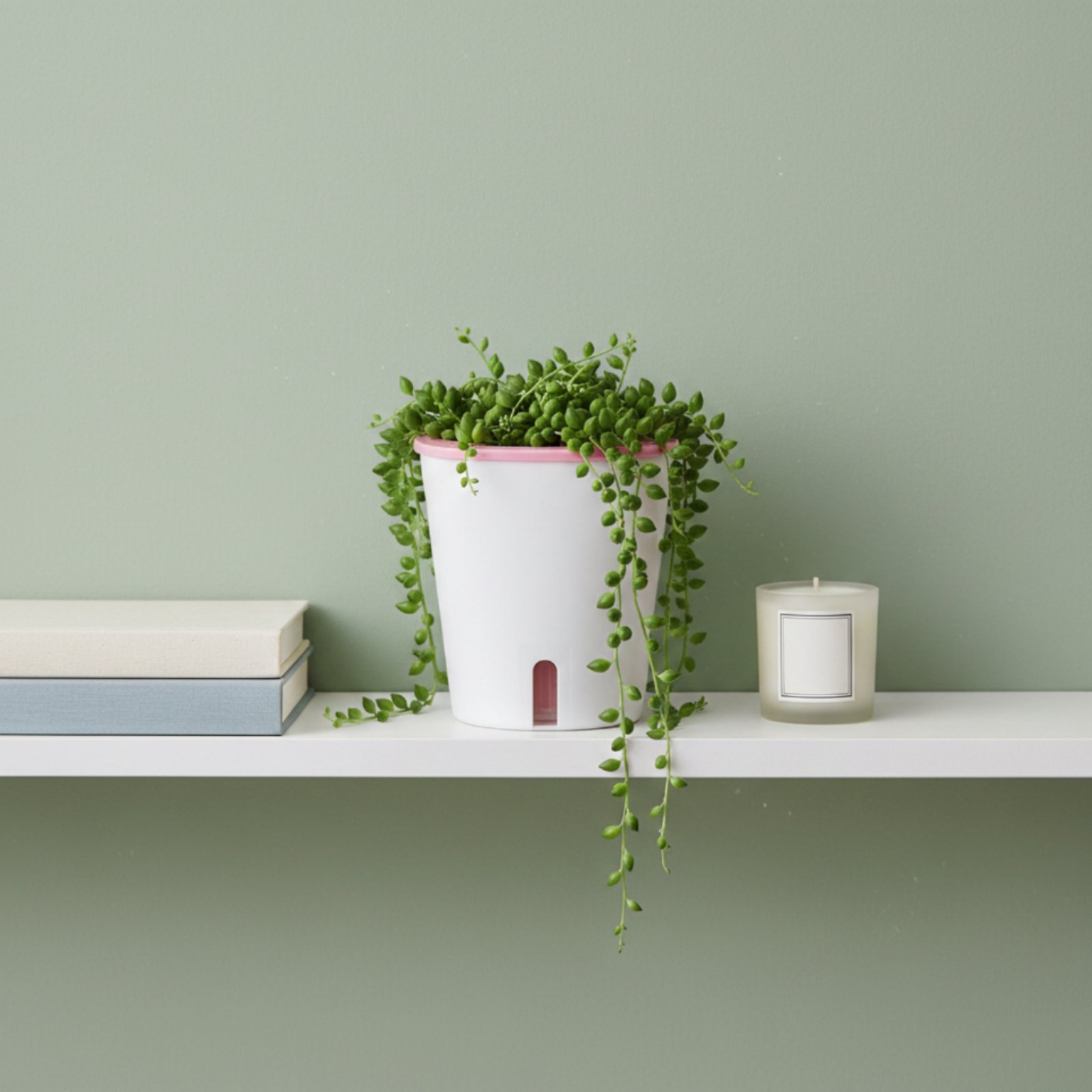 Jardinière auto-arrosante de g - Self Watering Planter avis et prix
